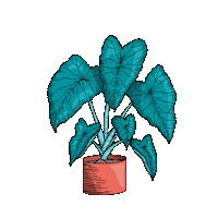 Plants Plantlover Sticker by Increase Creativity