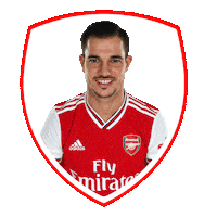 Premier League Football Sticker by Empower Sports