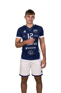 Bundesliga Volleyball Sticker by ASV Dachau