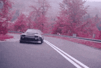 ARZZiO wow cool red nature GIF