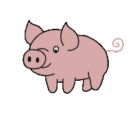 Happy New Year Pig Sticker by coraliedudafotografie