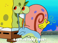 season 8 barnacle face GIF by SpongeBob SquarePants