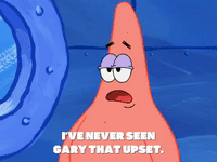 season 6 pet or pets GIF by SpongeBob SquarePants