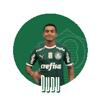 soccer hang loose Sticker by SE Palmeiras
