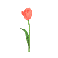 forencos 원더랜드 포렌코즈 Sticker