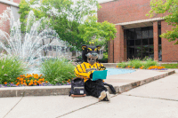 uwmilwaukee funny university mascot campus GIF