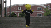Wu_Shock wu wsu wushock shockers GIF
