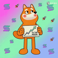 Sparkles Smile GIF by BONK