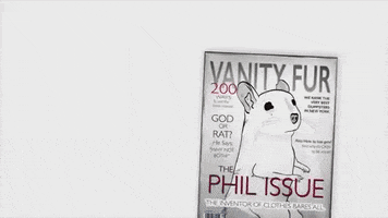 season 1 cats GIF by Animals