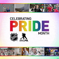 GIF by NHL