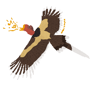 Indonesia Birds Sticker by Hutanituindonesia