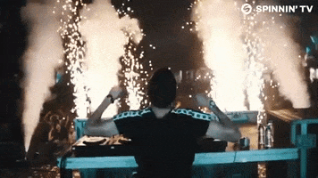 Dance Music Dancing GIF by Spinnin' Records