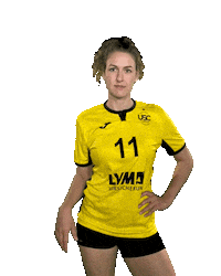 USC_Muenster ball volleyball vbl usc Sticker