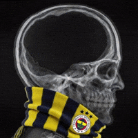Galatasaray GIF