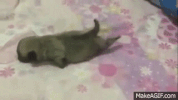 crawling GIF