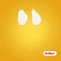 drmaxlekarna leto krem lekarna drmax GIF