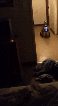 Nefarious GIF