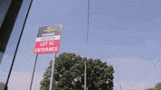 big cat pft GIF by Barstool Sports
