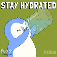 Stay Hydrated Drink Water GIF by Pudgy Penguins