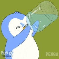 Stay Hydrated Drink Water GIF by Pudgy Penguins