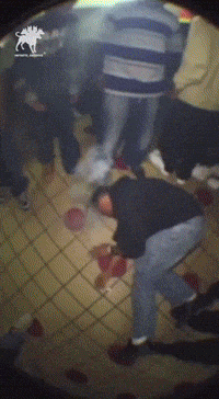 Roller Coaster Shape GIF