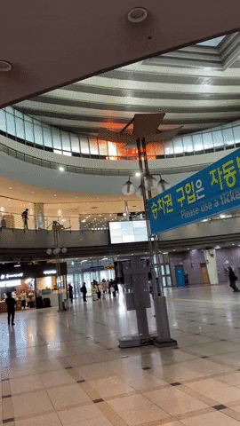 asdfwrgdghxcvbrte giphyupload GIF