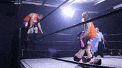 SHWAWrestling k9 perth pro wrestling perth wrestling southern hemisphere wrestling alliance GIF