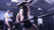 SHWAWrestling k9 perth pro wrestling perth wrestling southern hemisphere wrestling alliance GIF