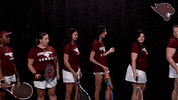 Tennis GIF by CUCougars