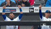 Celebrate Ny Mets GIF by New York Mets
