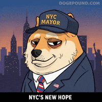 Shiba Inu Deal With It GIF by Doge Pound