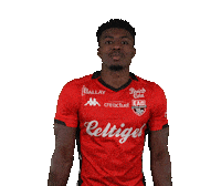 Ligue 2 Football Sticker by EA Guingamp