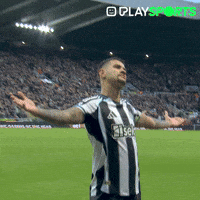 Premier League What GIF by Play Sports