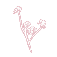 CottonOnBody cotton cottononbody Sticker