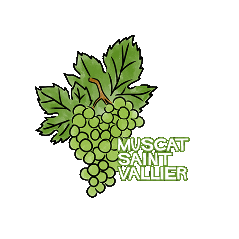 Wine Bali Sticker by Sababay Winery