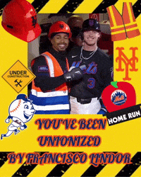 New York Mets GIF
