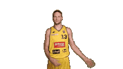 Basketball Koszykowka Sticker by Trefl Sopot