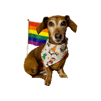 Rainbow Pride Sticker by Geekster Pets