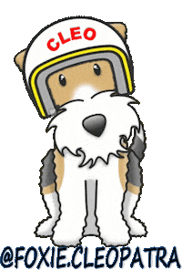 Wire Fox Terrier Sticker