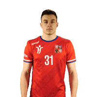 Ceska Hazena Sticker by Czech Handball