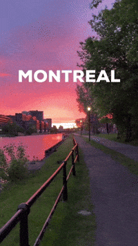 Montreal GIF by Casol