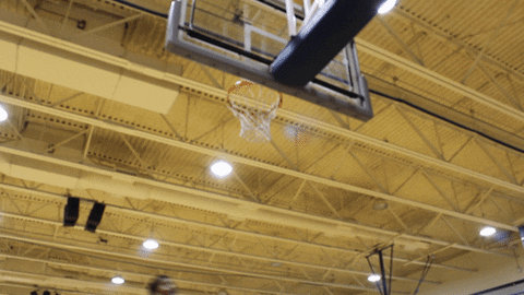 vwu_marlins giphyupload marlins vwu wethebeach GIF