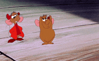 work out cats GIF