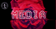 nycDSA glitch design vhs rose GIF