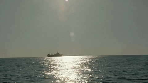tbs network comedy GIF by The Detour
