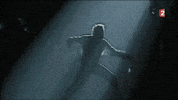 johnny hallyday GIF by franceinfo