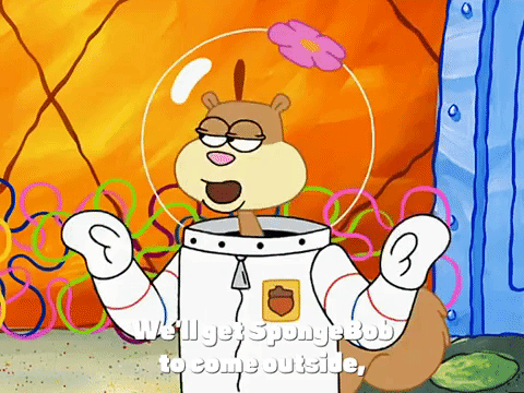 season 3 GIF by SpongeBob SquarePants