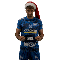 Handball Stuttgart Sticker by DAIKIN HBL