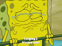 season 4 GIF by SpongeBob SquarePants