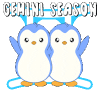 Happy Birthday Sticker by Pudgy Penguins